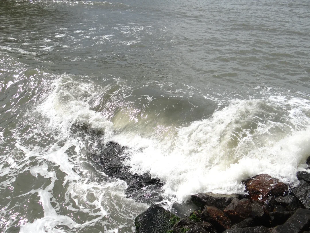 ALT texto alternativo