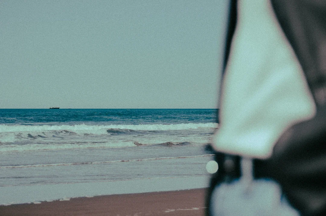 ALT texto alternativo