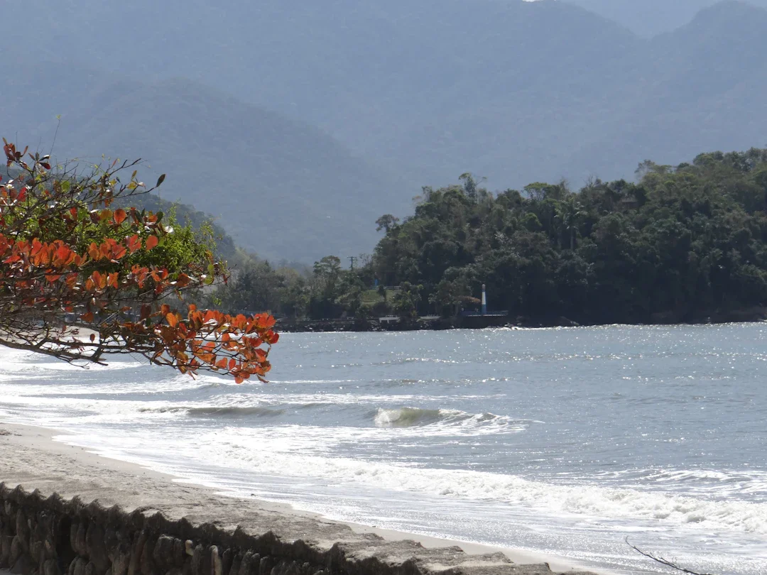 ALT texto alternativo