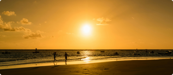 ALT texto alternativo