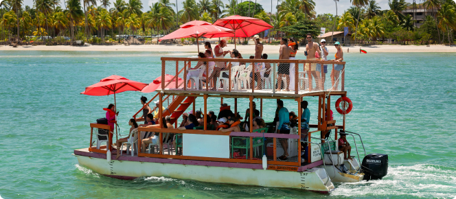 ALT texto alternativo