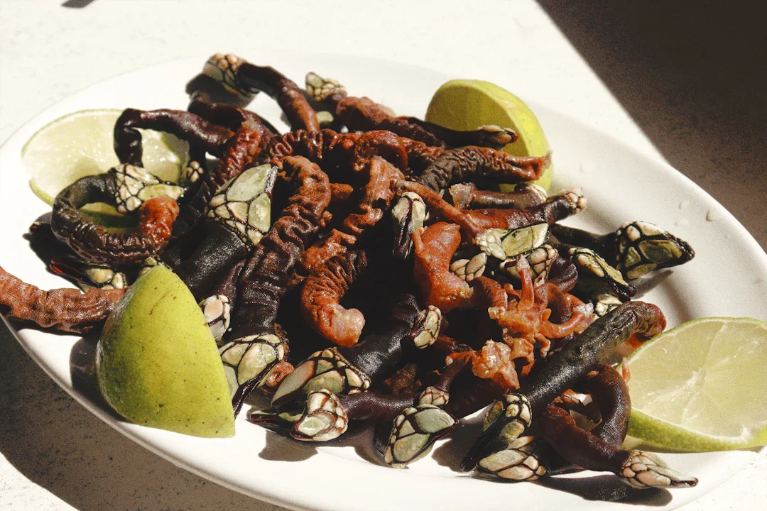 ALT texto alternativo