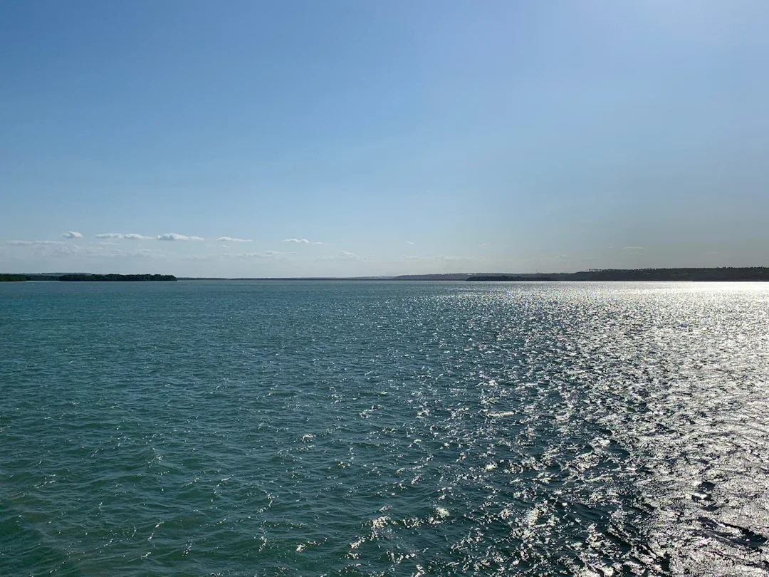 ALT texto alternativo