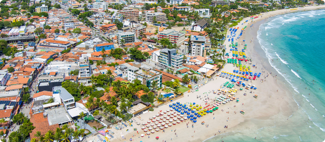 ALT texto alternativo