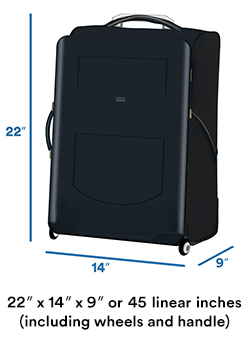 Carry-on luggage size limit - Alaska Airlines