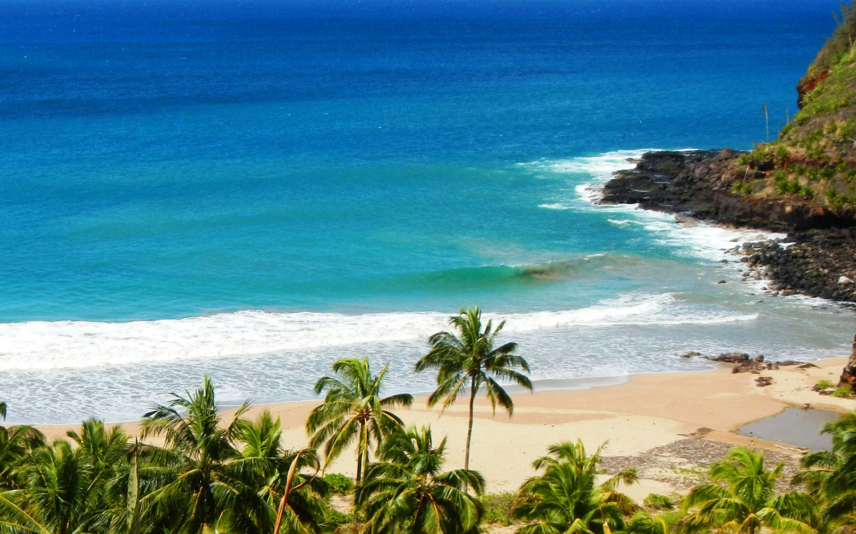 Una vista de la playa.
