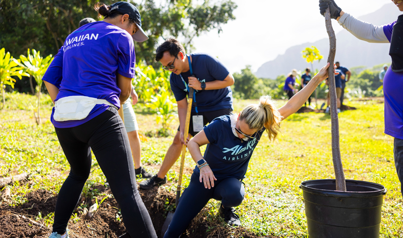 Volunteers planting a tree.
