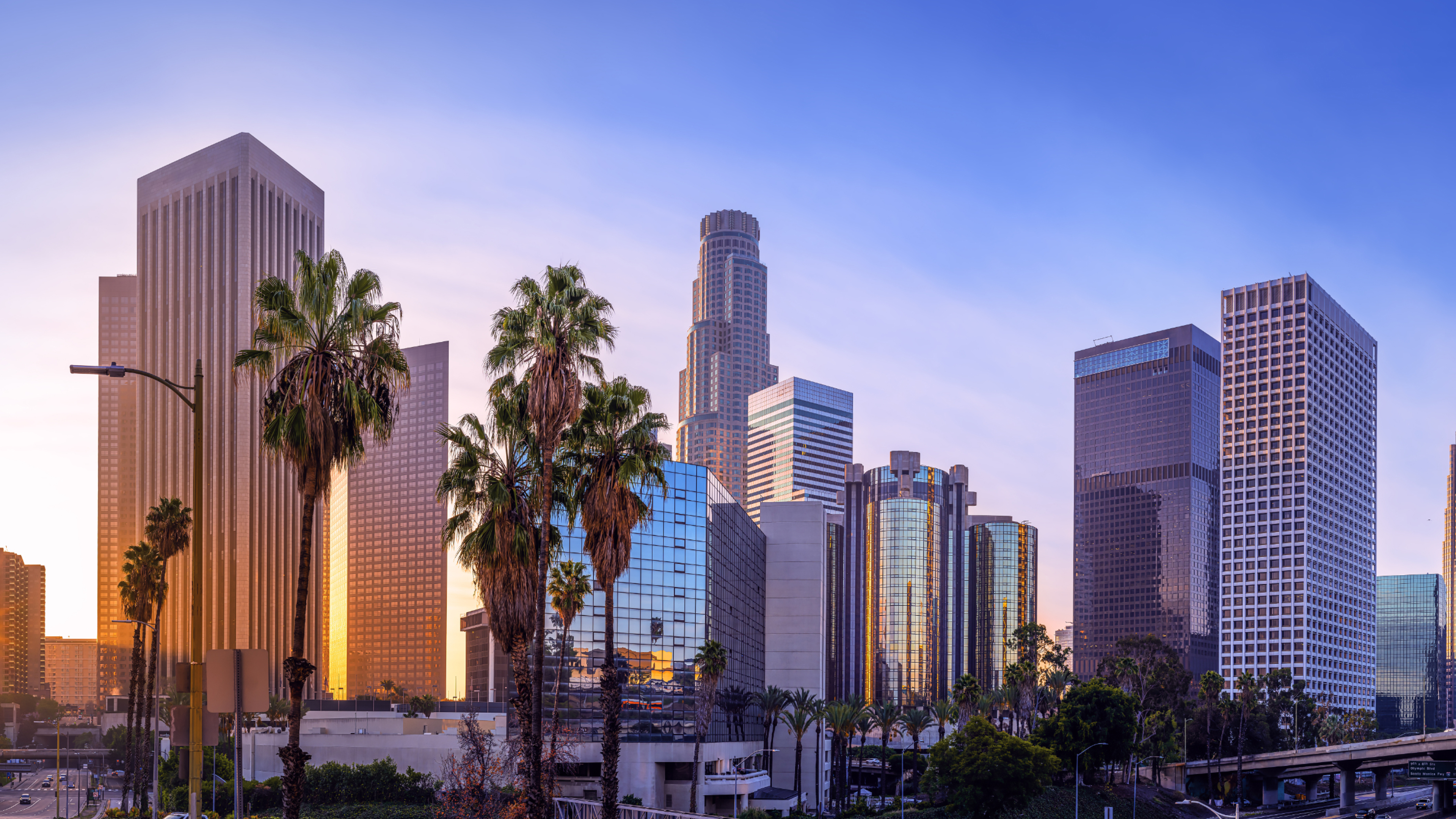 The Los Angeles skyline with palm trees and clear blue sky