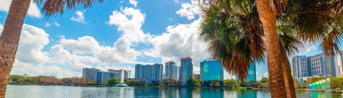 image of a orlando backdrop