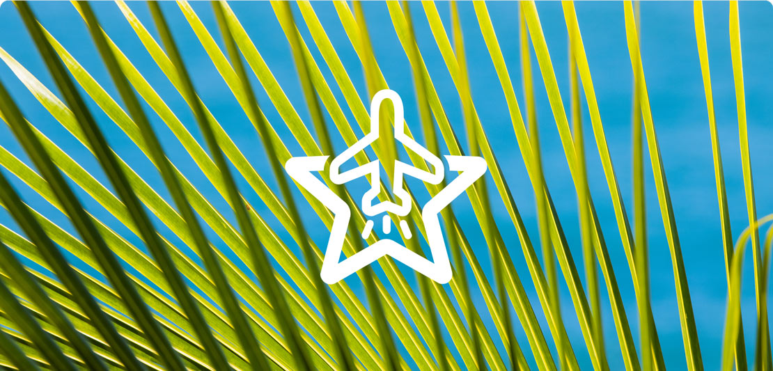 Ícono de Avión