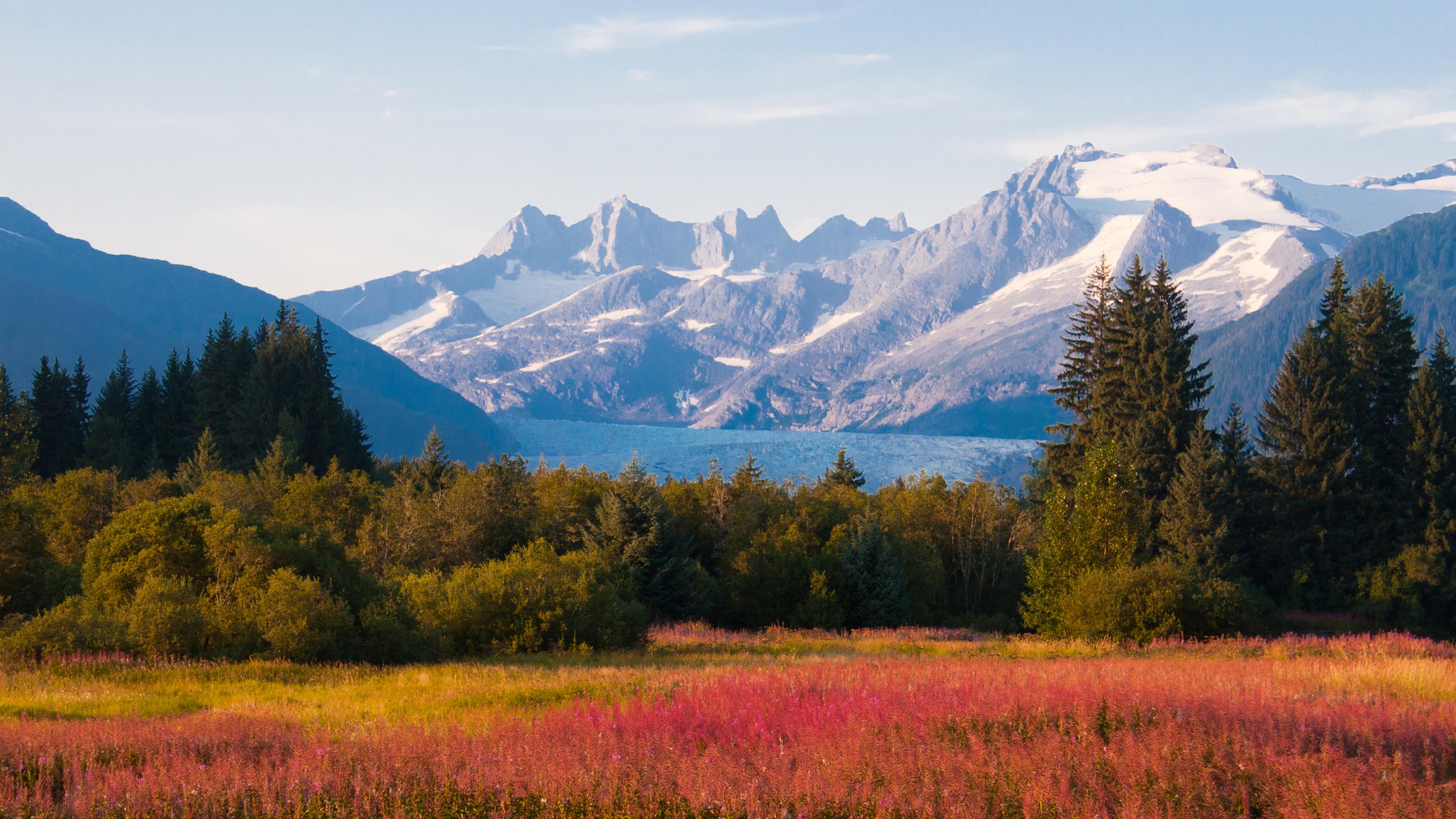 image of a Juneau Alaska backdrop