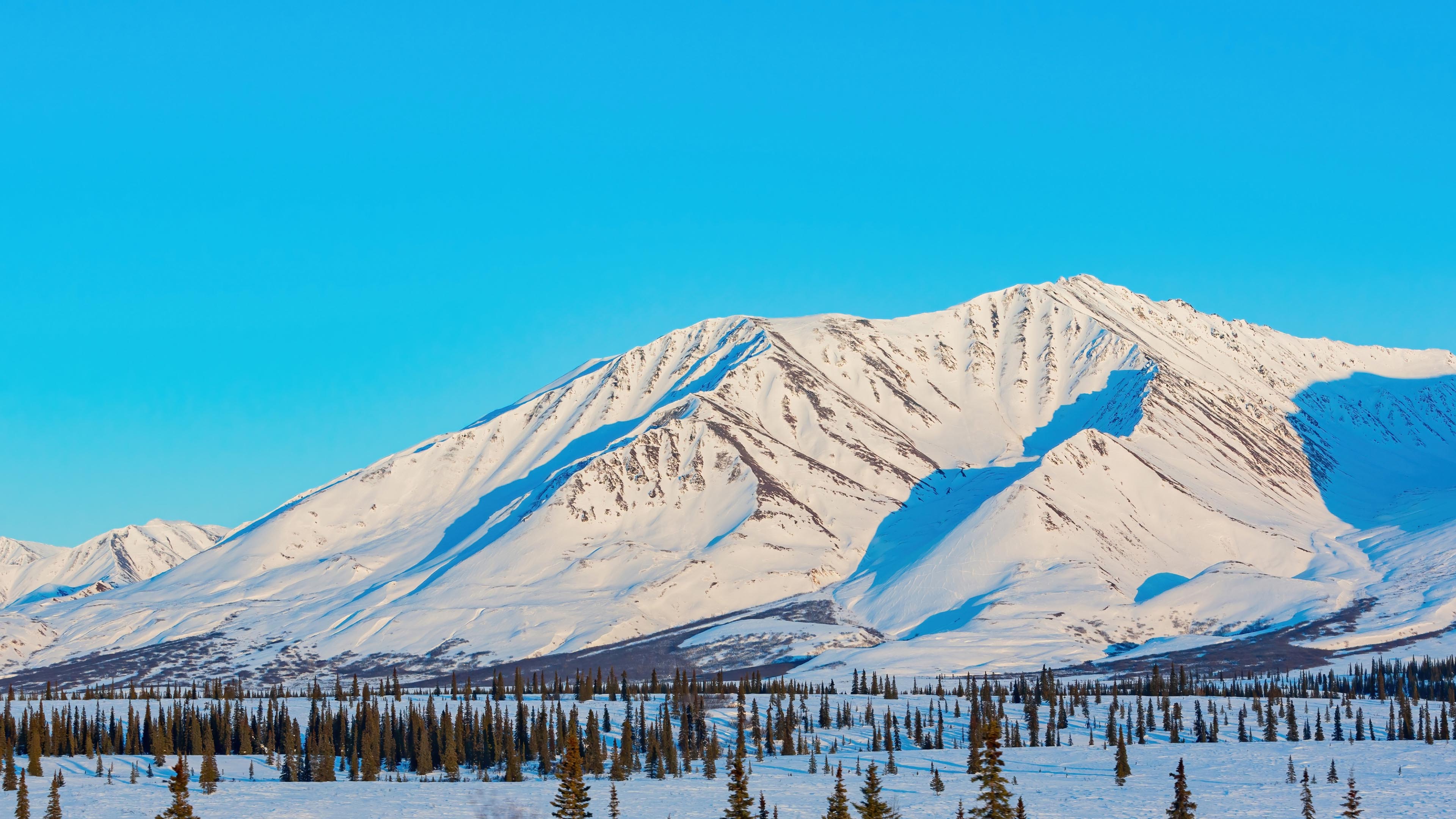 image of a Fairbanks Alaska backdrop
