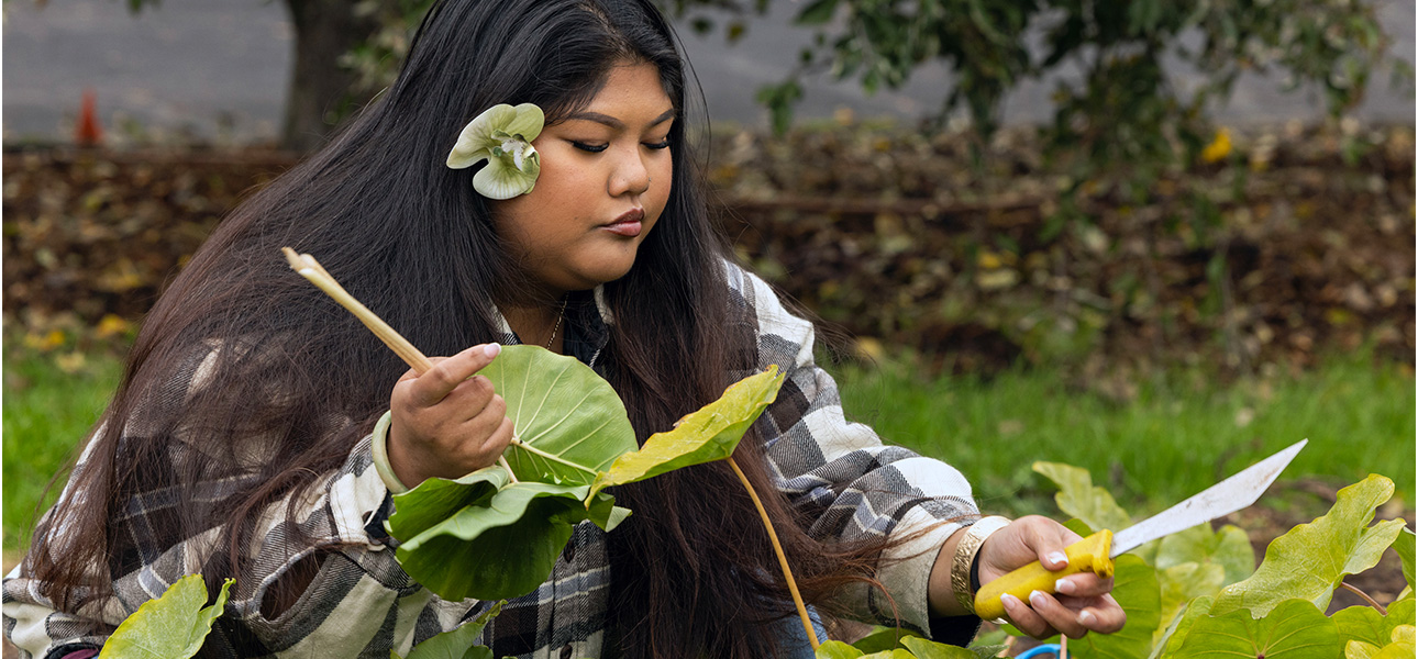 Issue 29-2 | Hawaiian Airlines