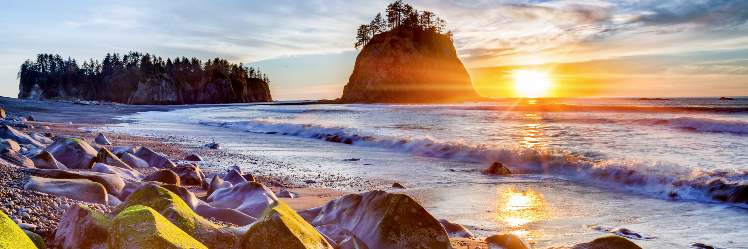 scenic image of an Olympic National Park backdrop