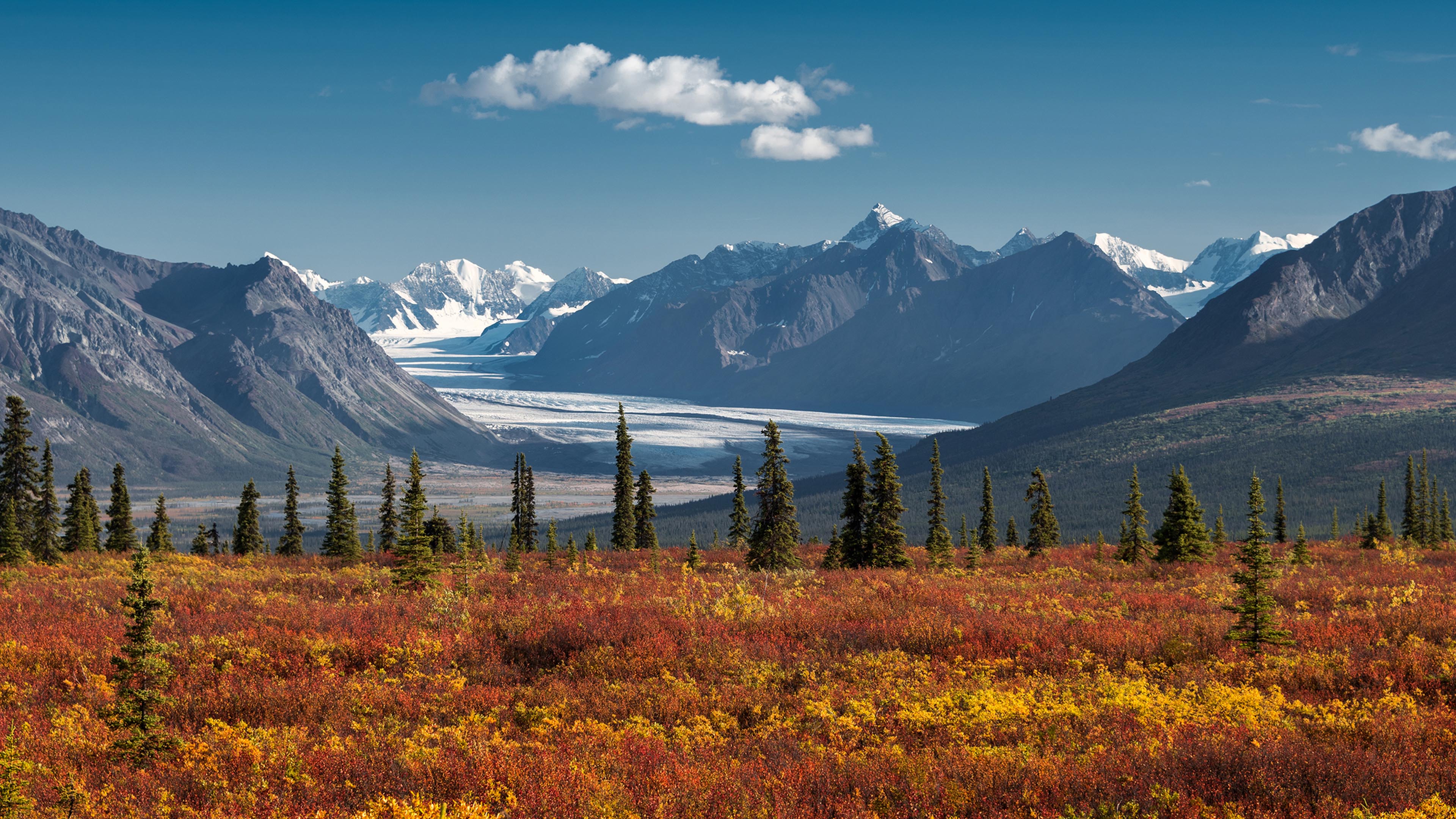 image of an Anchorage Alaska backdrop