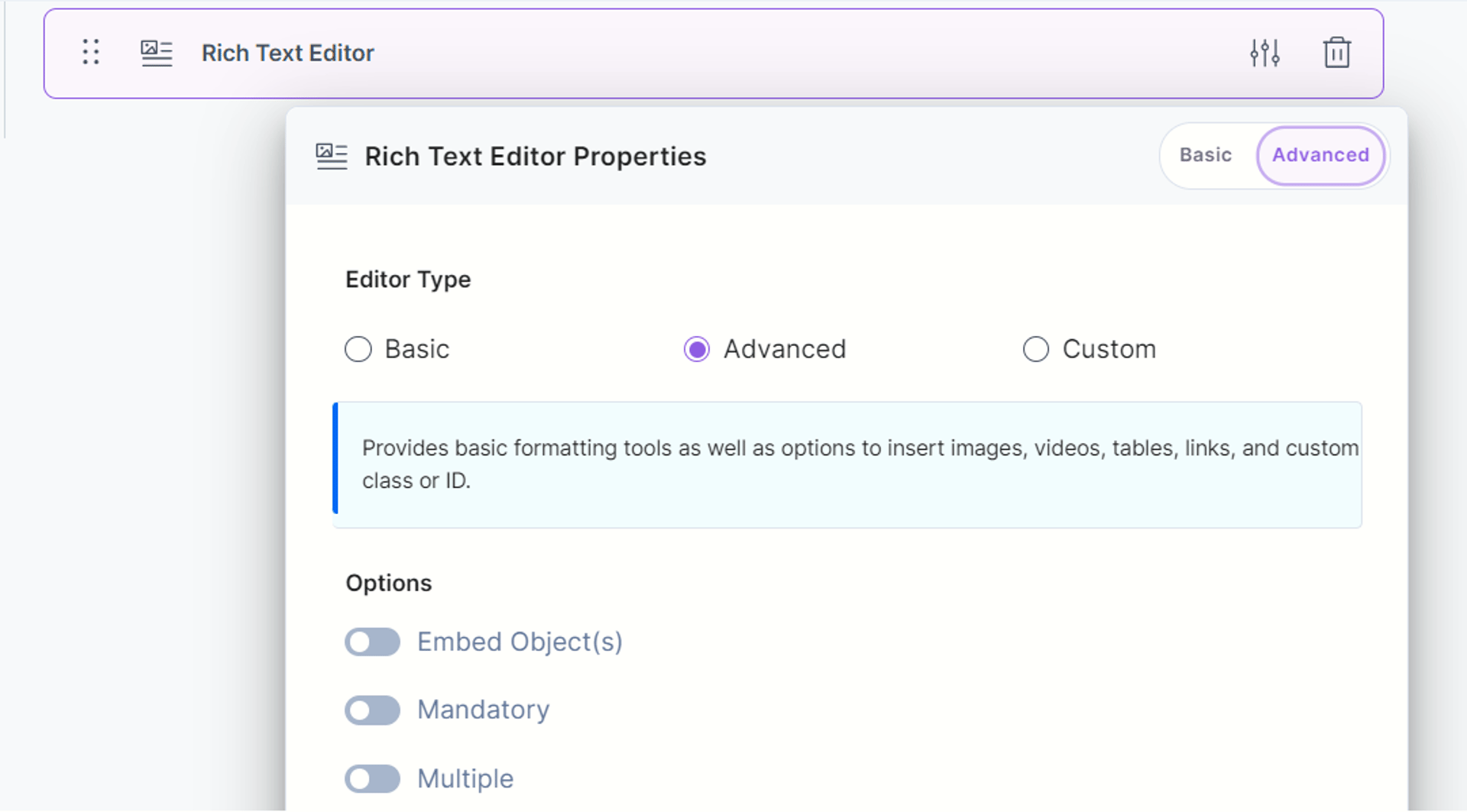 Rich Text Editor (RTE) Field | Customized Rich Text Editor