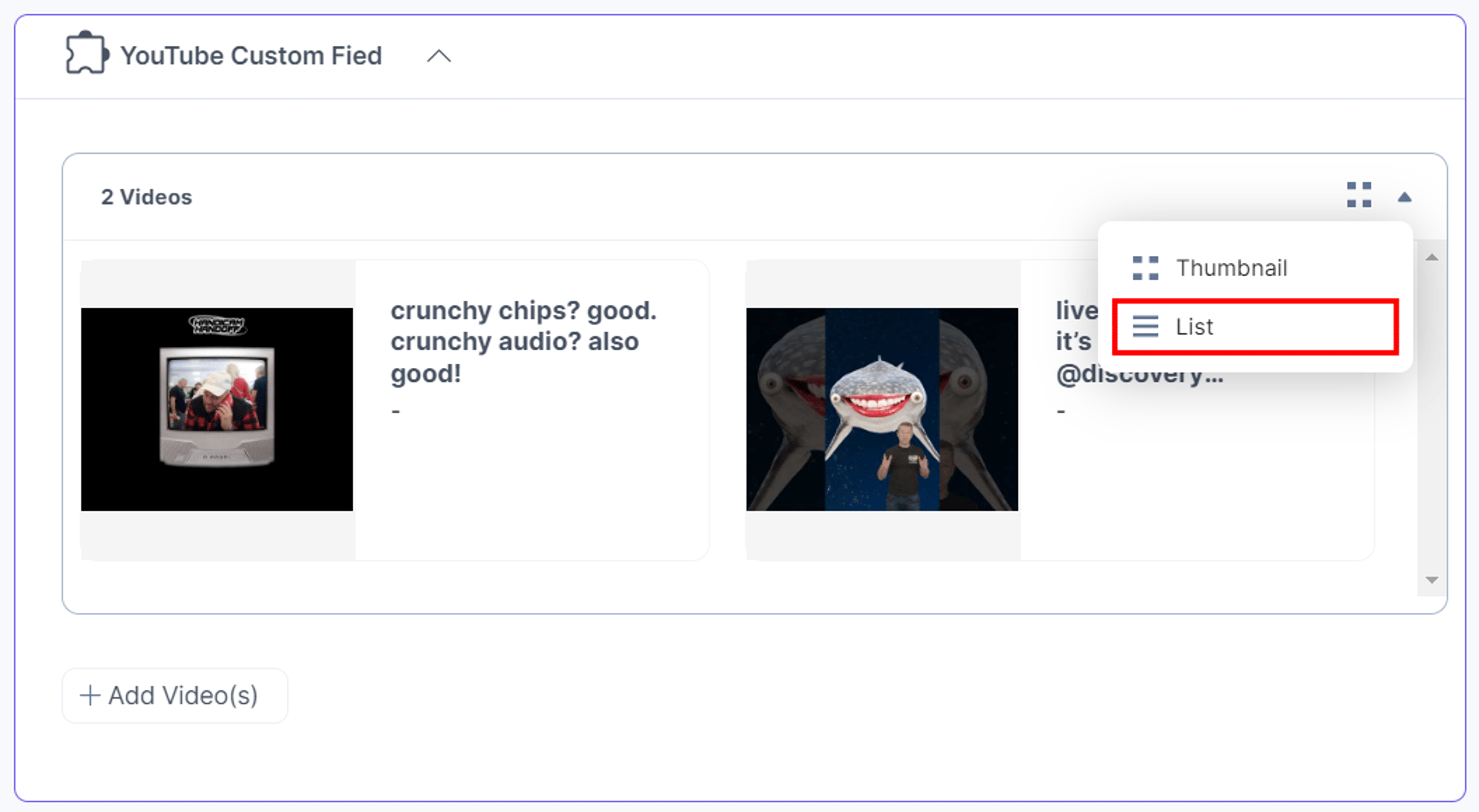 YouTube-Custom-Field-Added-Videos-View-Options