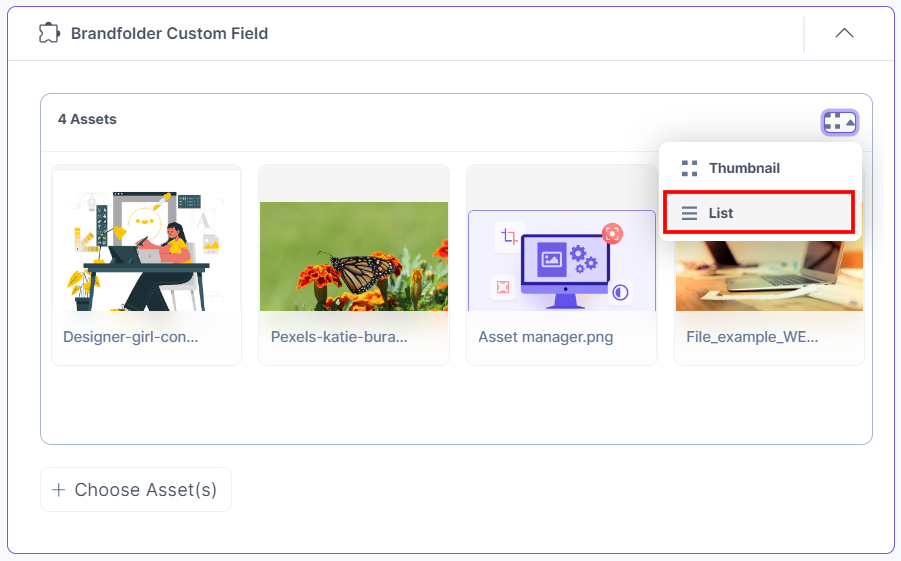 21-Brandfolder-Custom-Field-Assets-View-Options