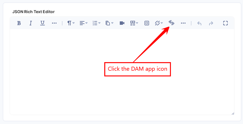 DAM-Biolerplate-JSON-DAM-Icon