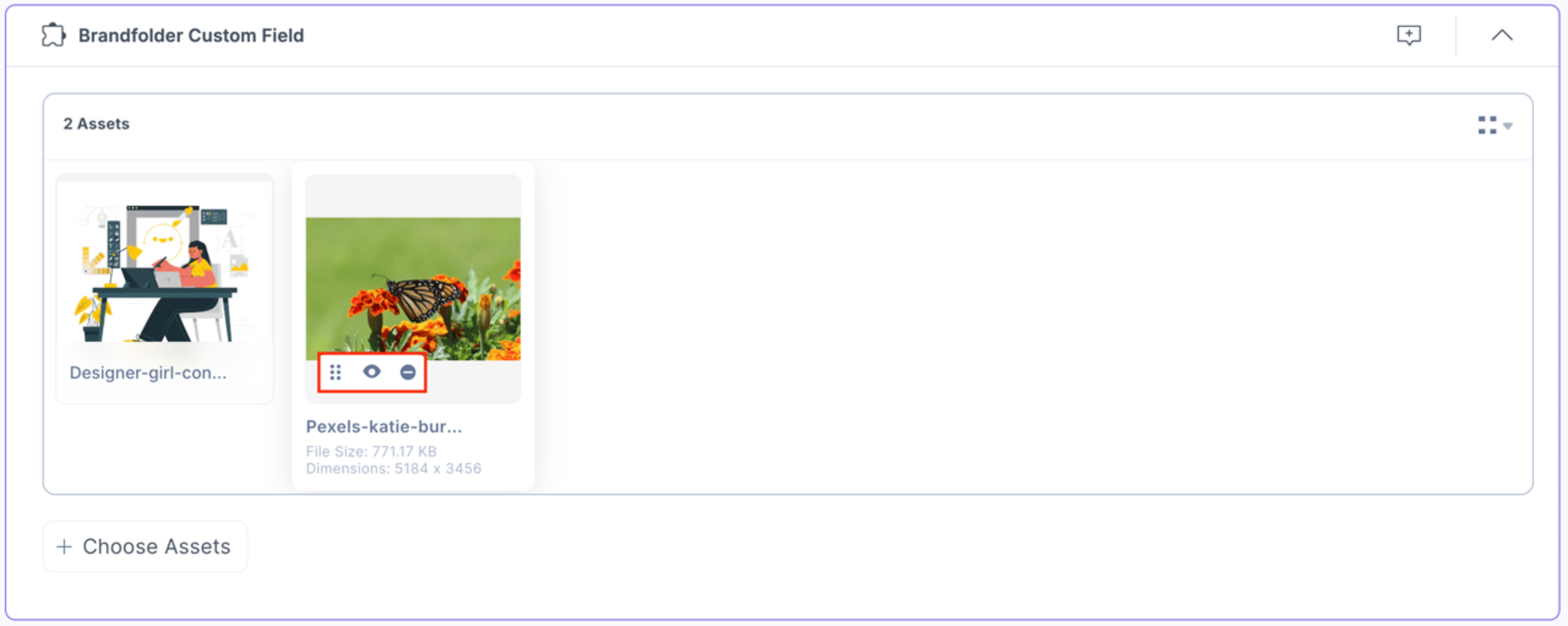 Brandfolder-Custom-Assets-View-Thumbail-Options