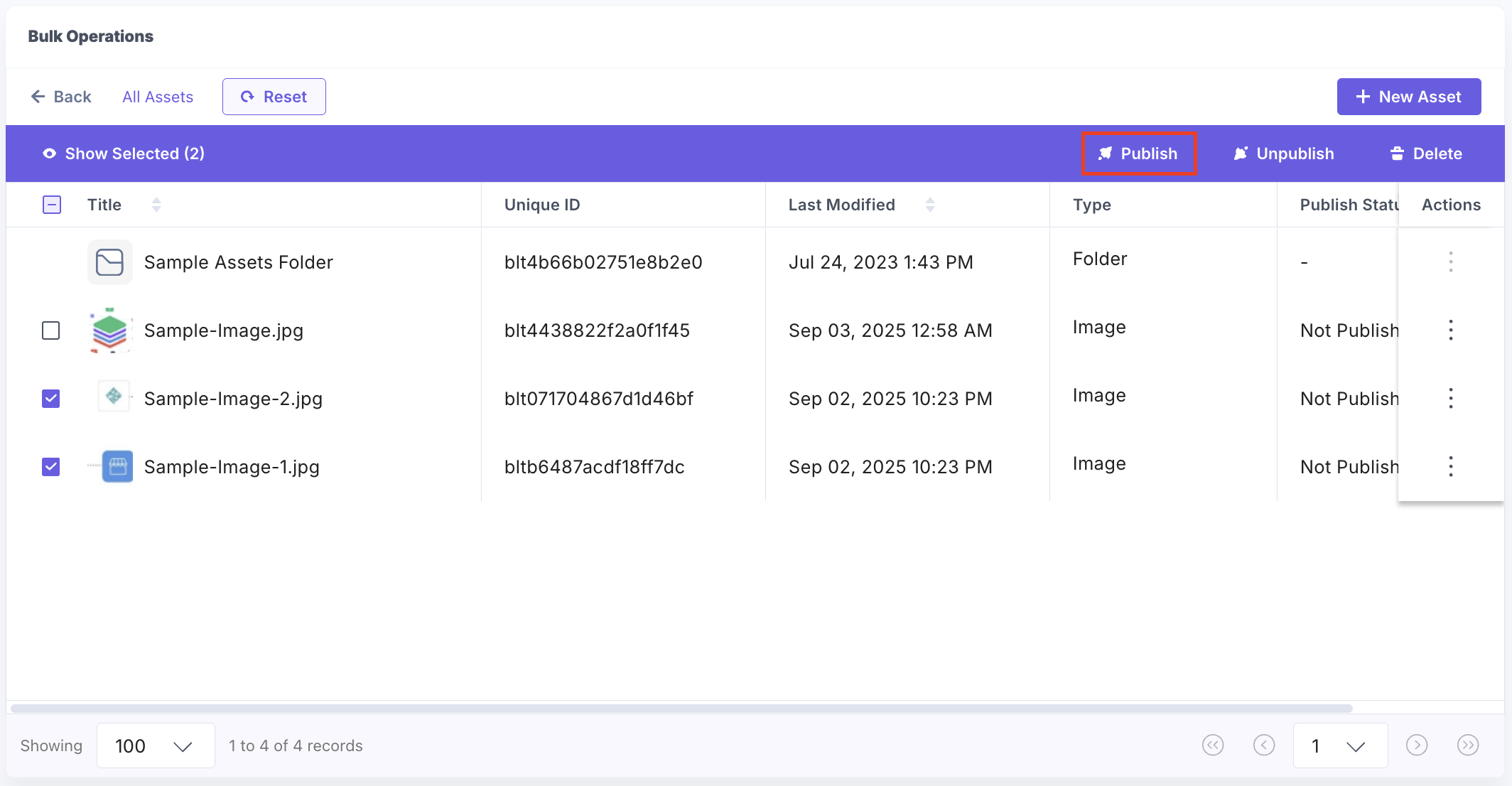 Bulk-Operations-Assets-Publish