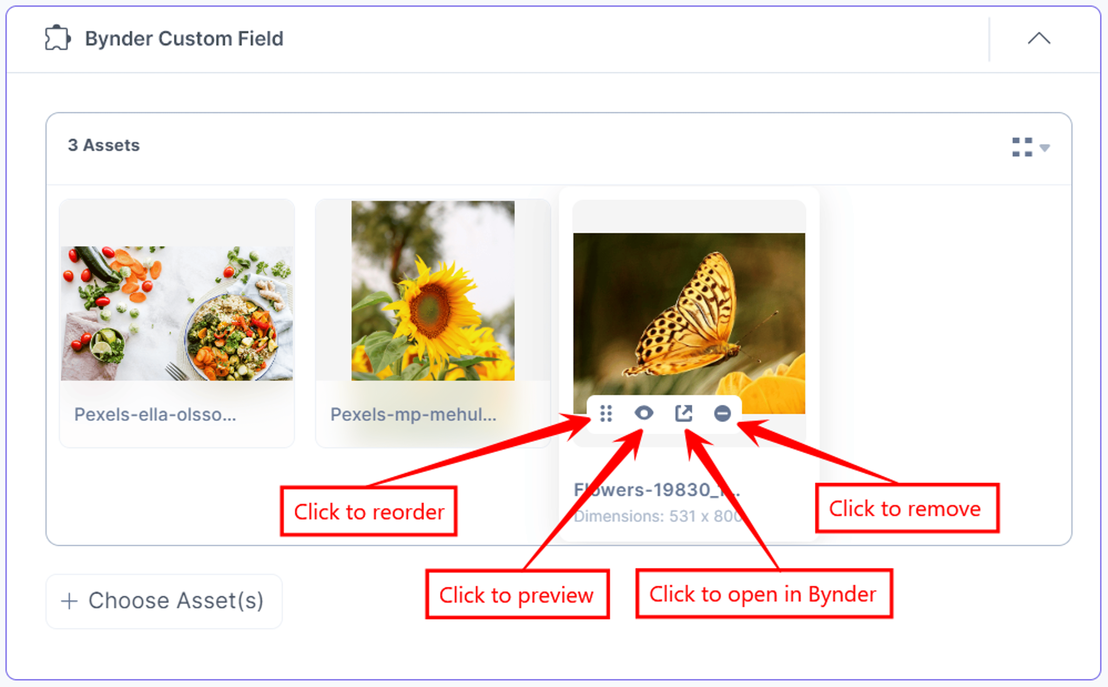 20-Bynder-Custom-Field-Assets-Added-View-Thumbnail-Features