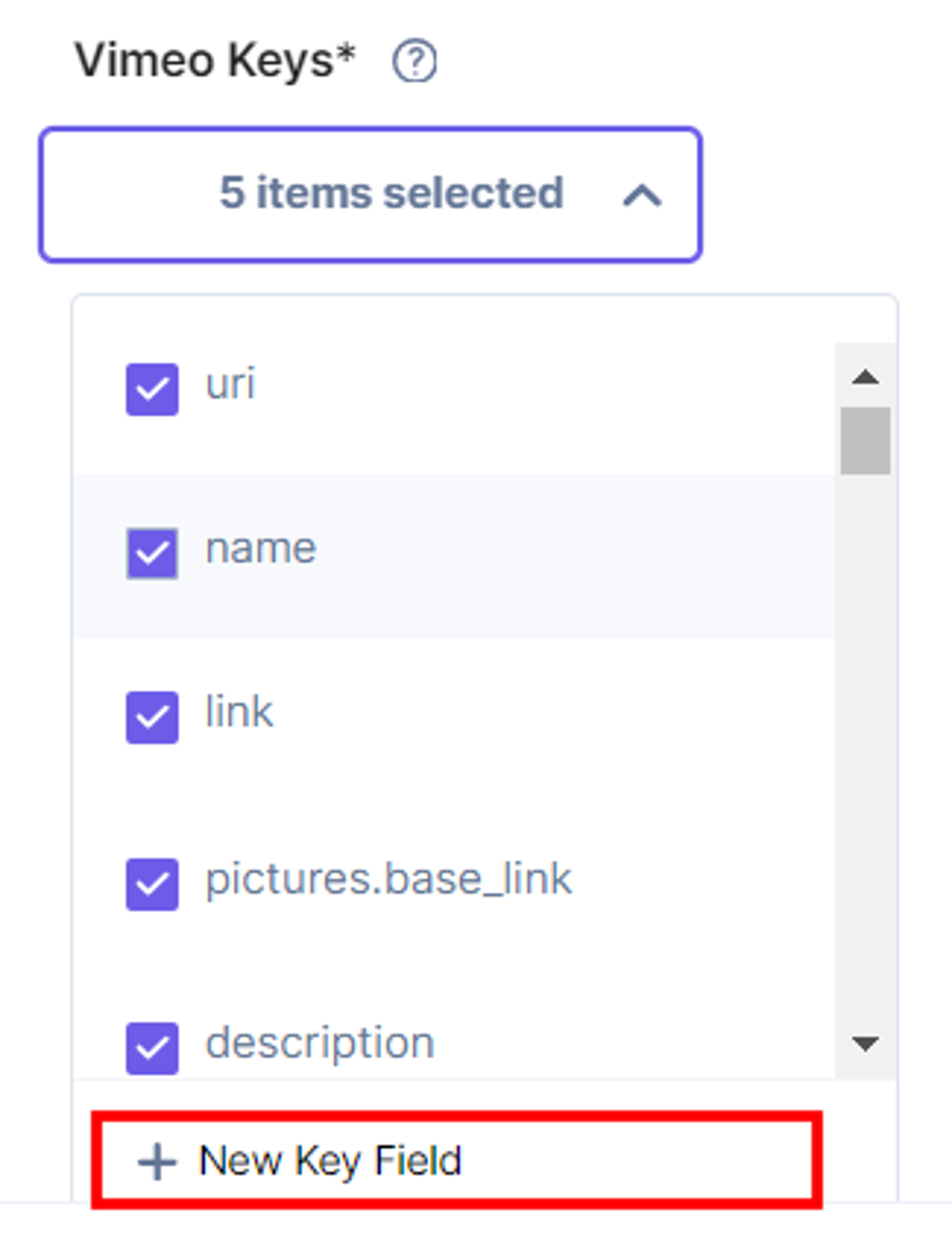 Vimeo-Configuration-Add-New-Key-Field.png