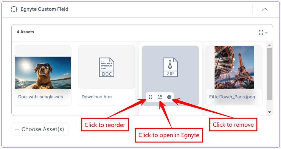 Egnyte-Custom-Field-Assets-View-Thumbnail-Features