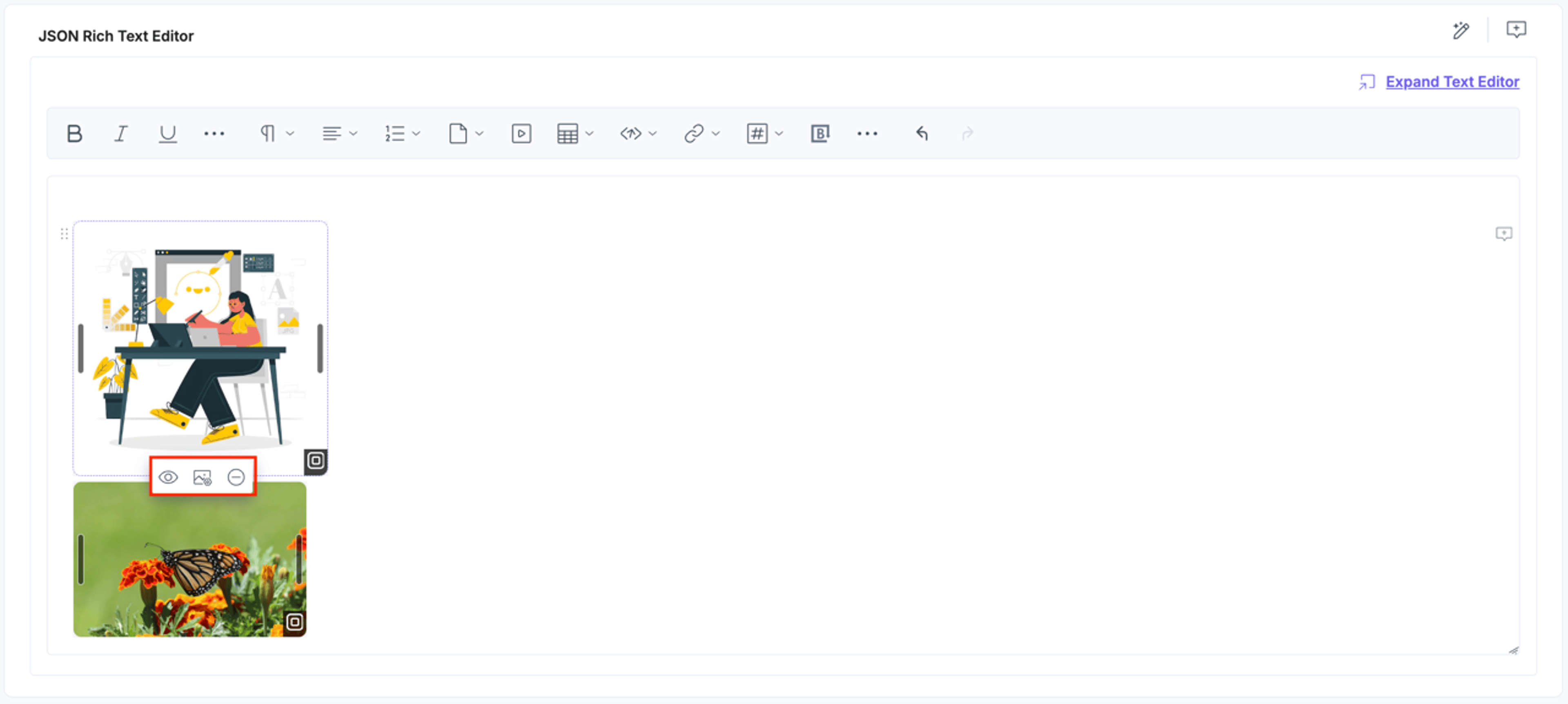 Brandfolder-JSONRTE-Added-Assets-Options