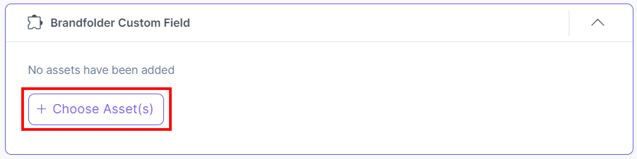 15-Brandfolder-Custom-Field-Choose-Assets
