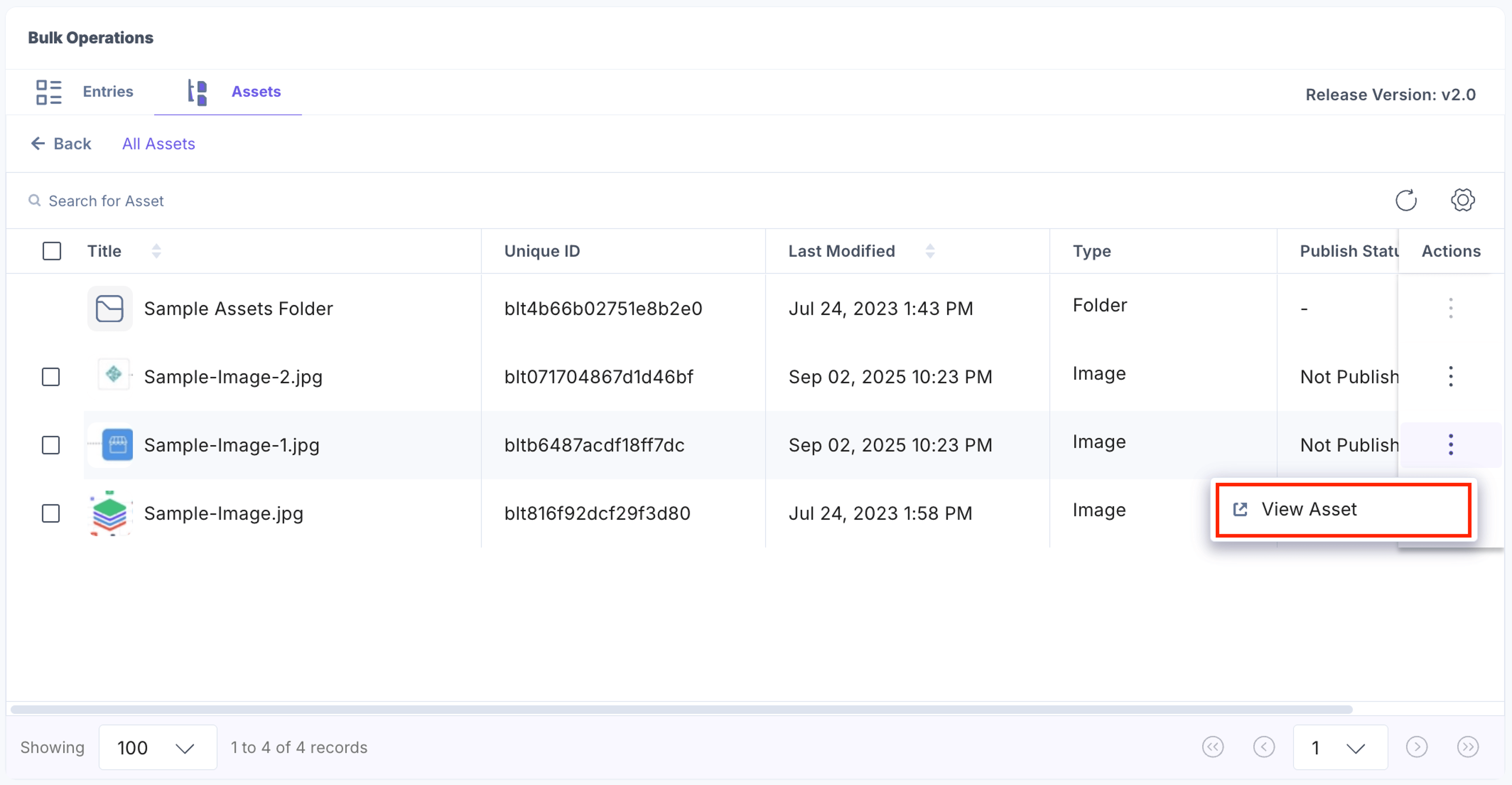 Bulk-Operations-Releases-View-Assets