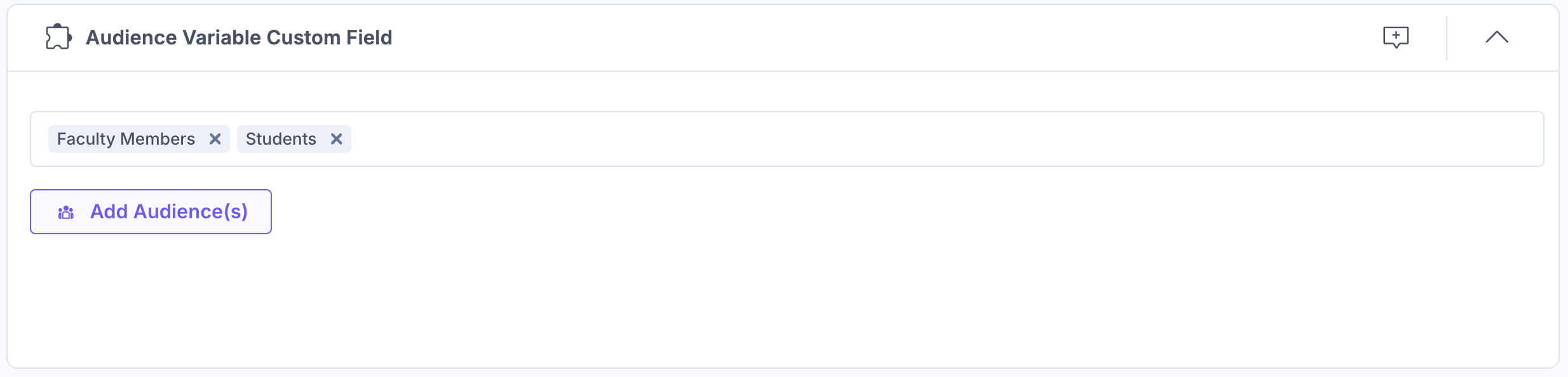 15-Audience-Variable-Custom-Field-Audience-Added
