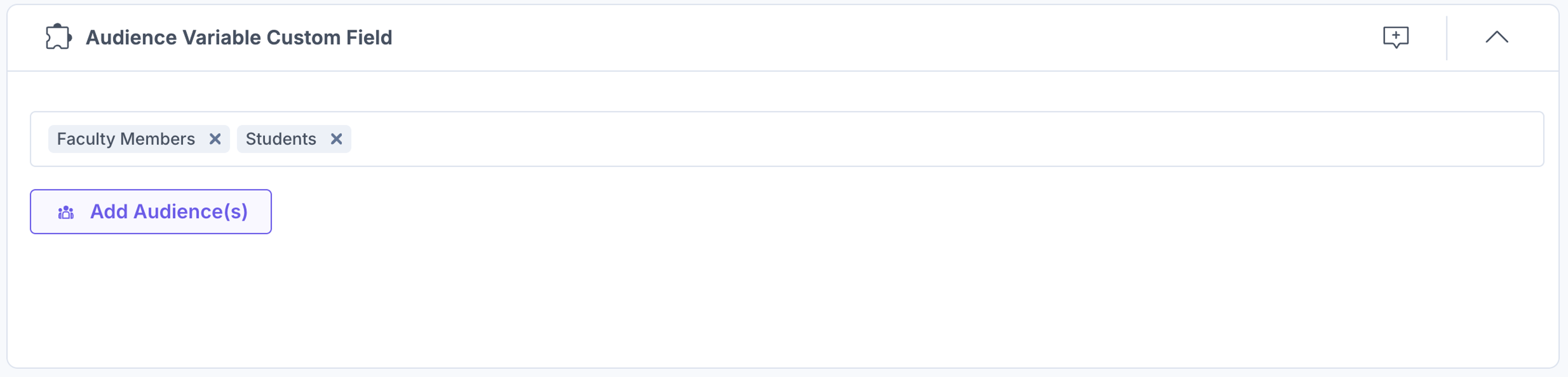 15-Audience-Variable-Custom-Field-Audience-Added