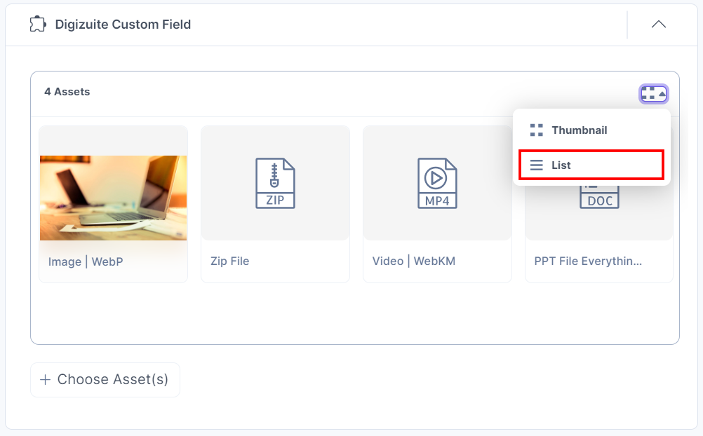 18-Digizuite-Custom-Field-Assets-View-Options