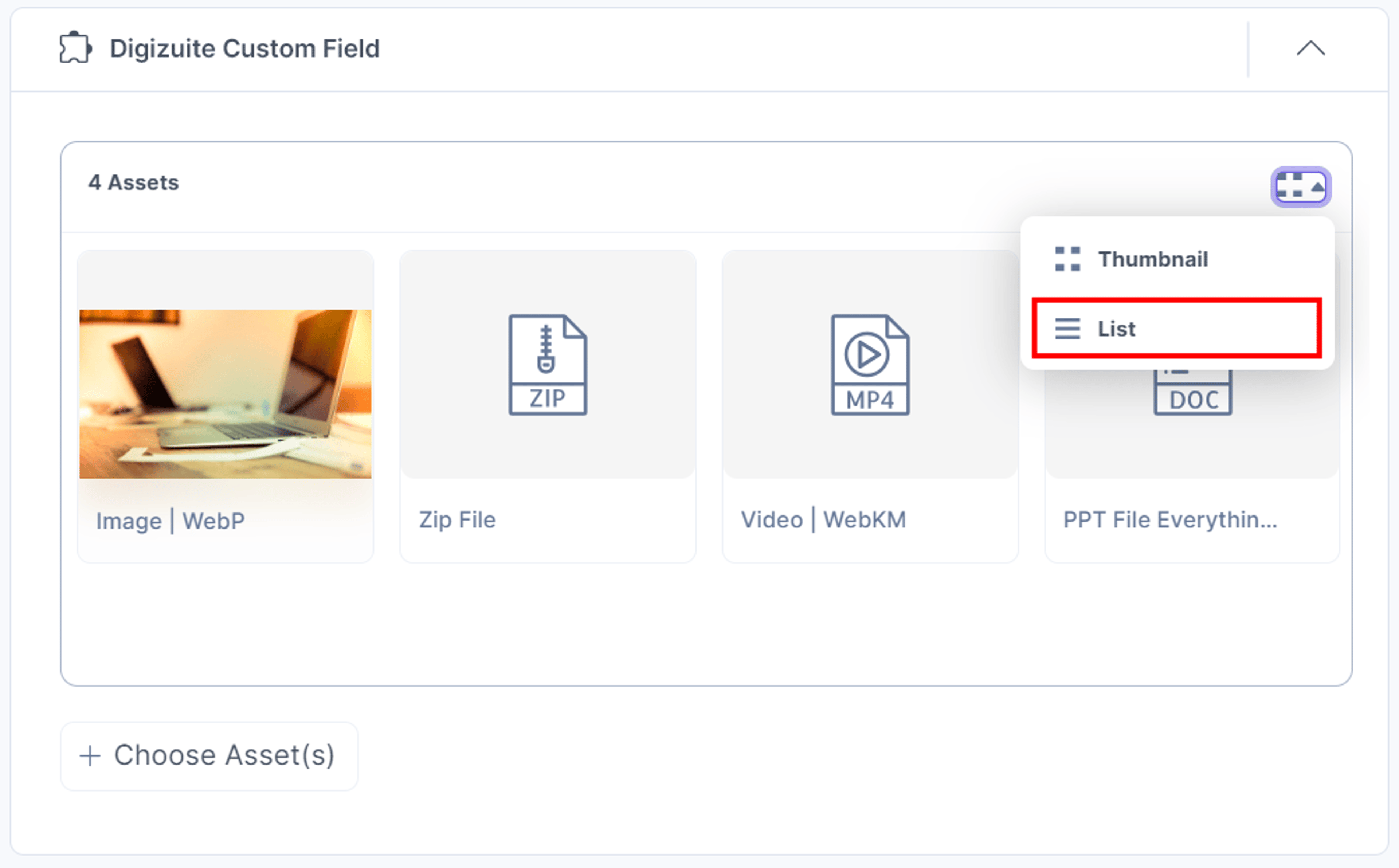 18-Digizuite-Custom-Field-Assets-View-Options