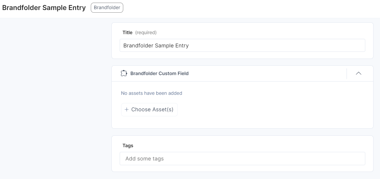 14-Brandfolder-Custom-Field-Sample-Entry