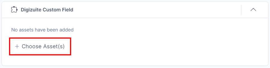 11-Digizuite-Custom-Field-Choose-Assets-Button