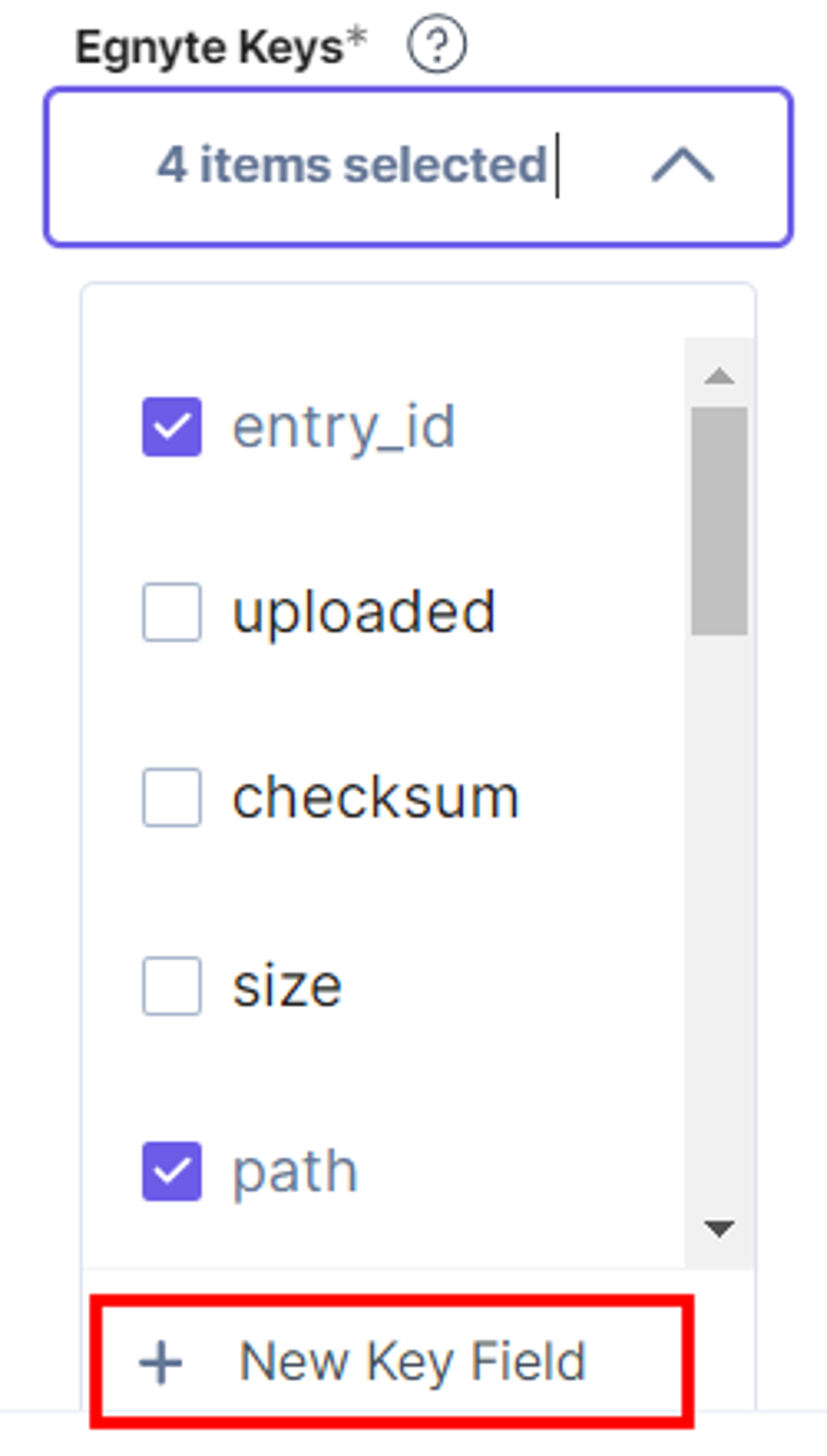 Egnyte-Configuration-New-Key-Field
