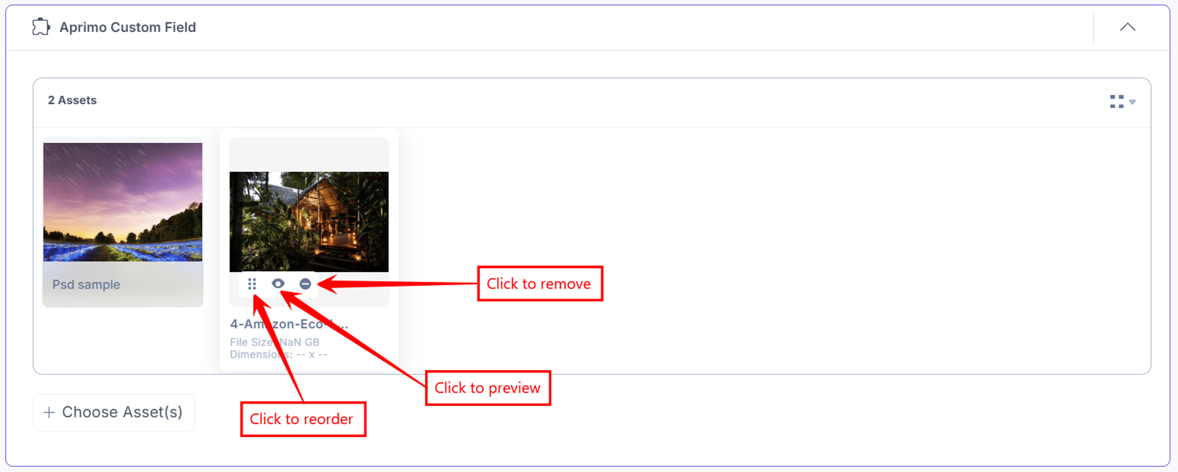 Aprimo-Custom-Field-Asset-Feature