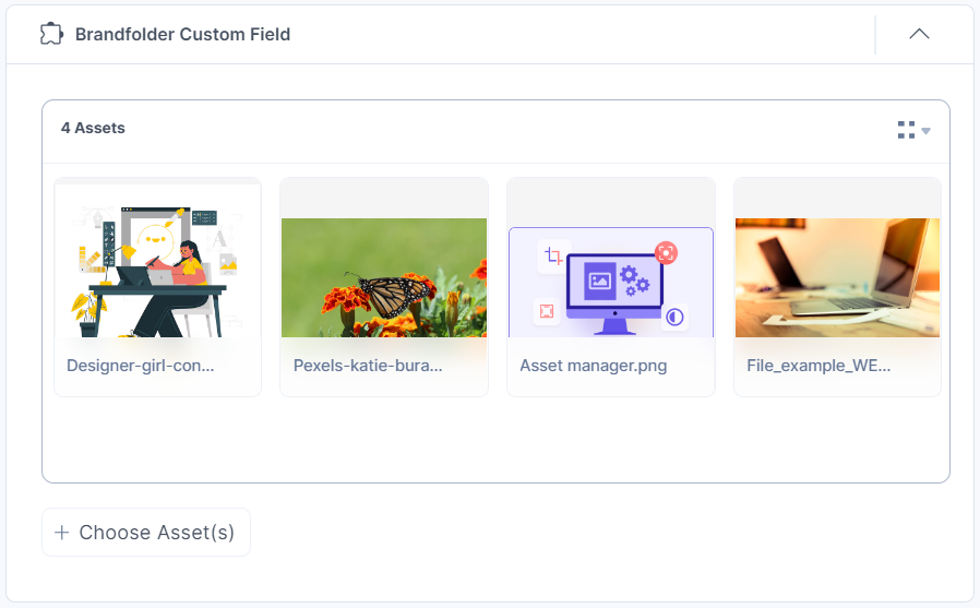 20-Brandfolder-Custom-Field-Assets-View-Thumbail