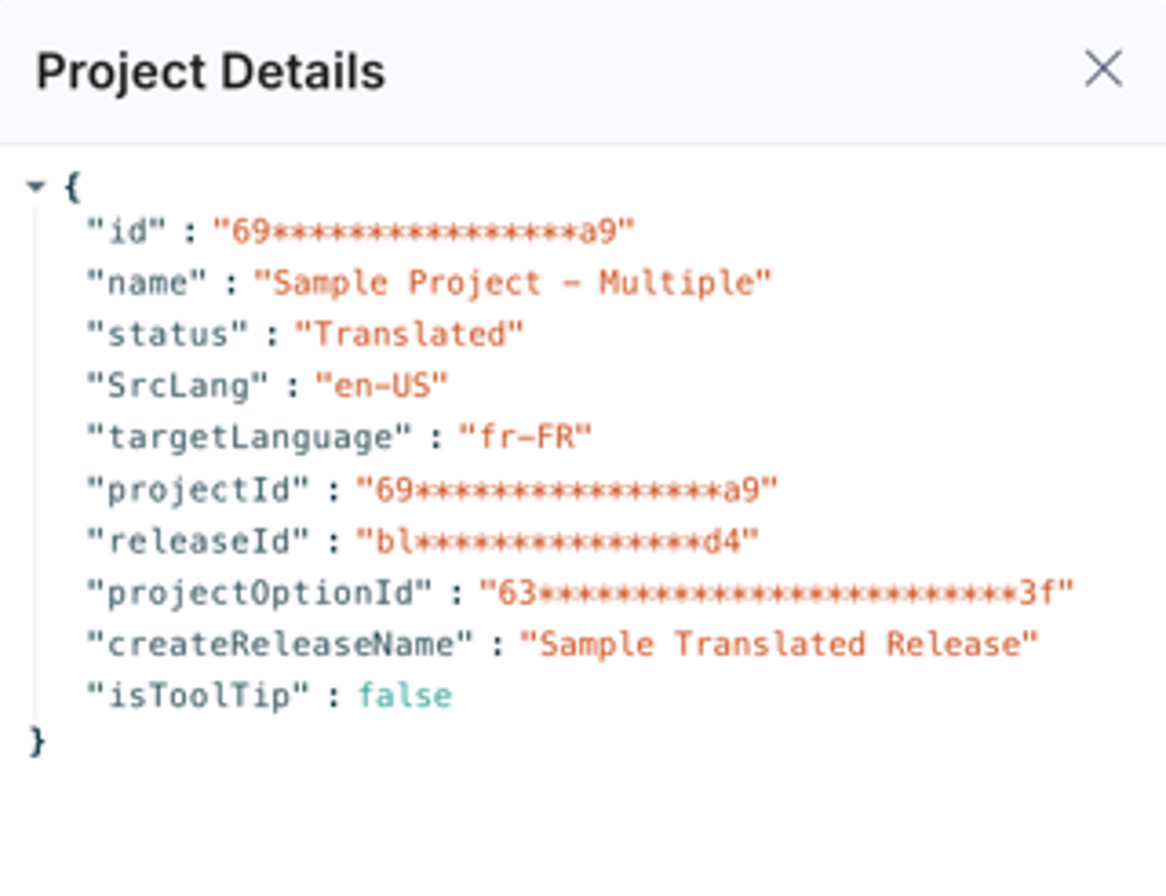 Trados-Full-Page-Project-Translated-Options-Details