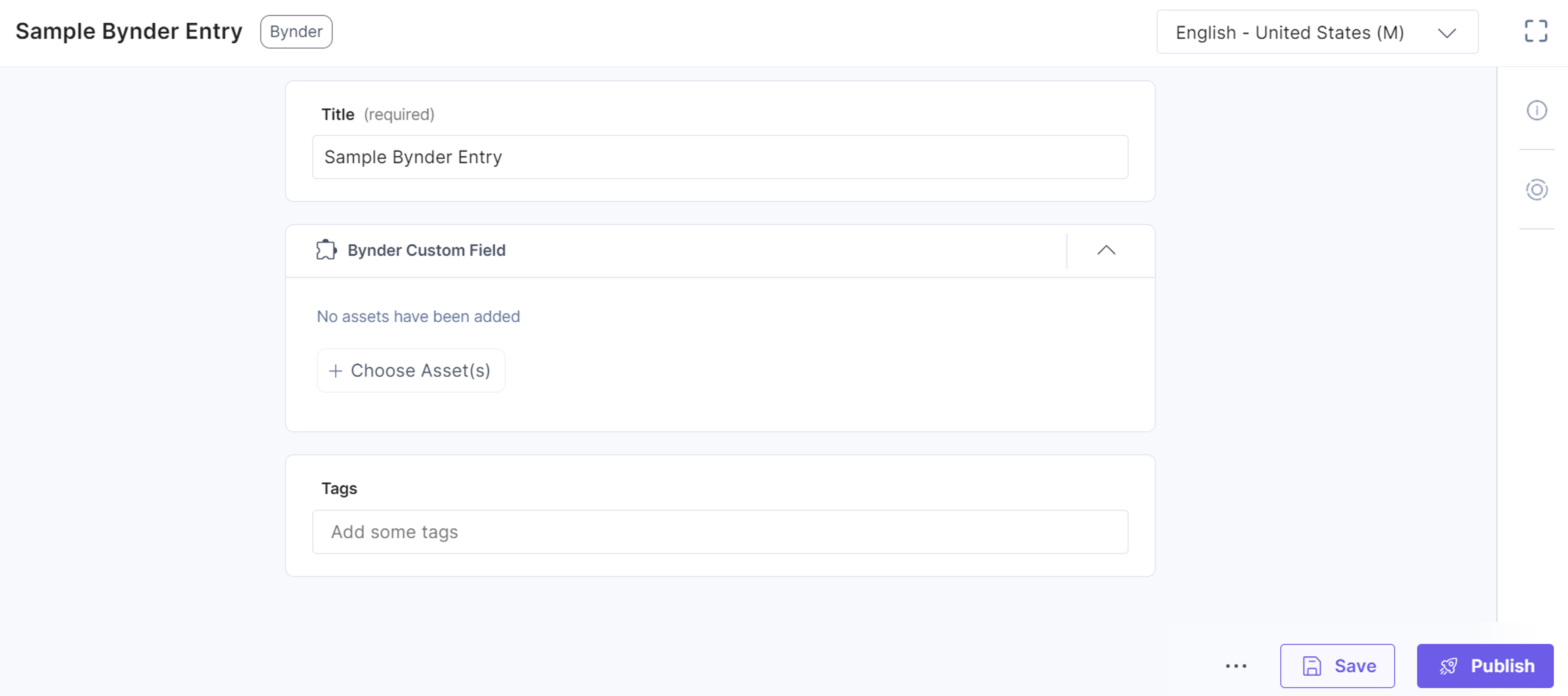 12-Bynder-Custom-Field-Sample-Entry