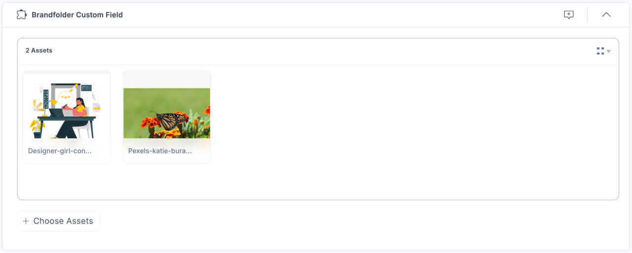 Brandfolder-Custom-Assets-View-Thumbail
