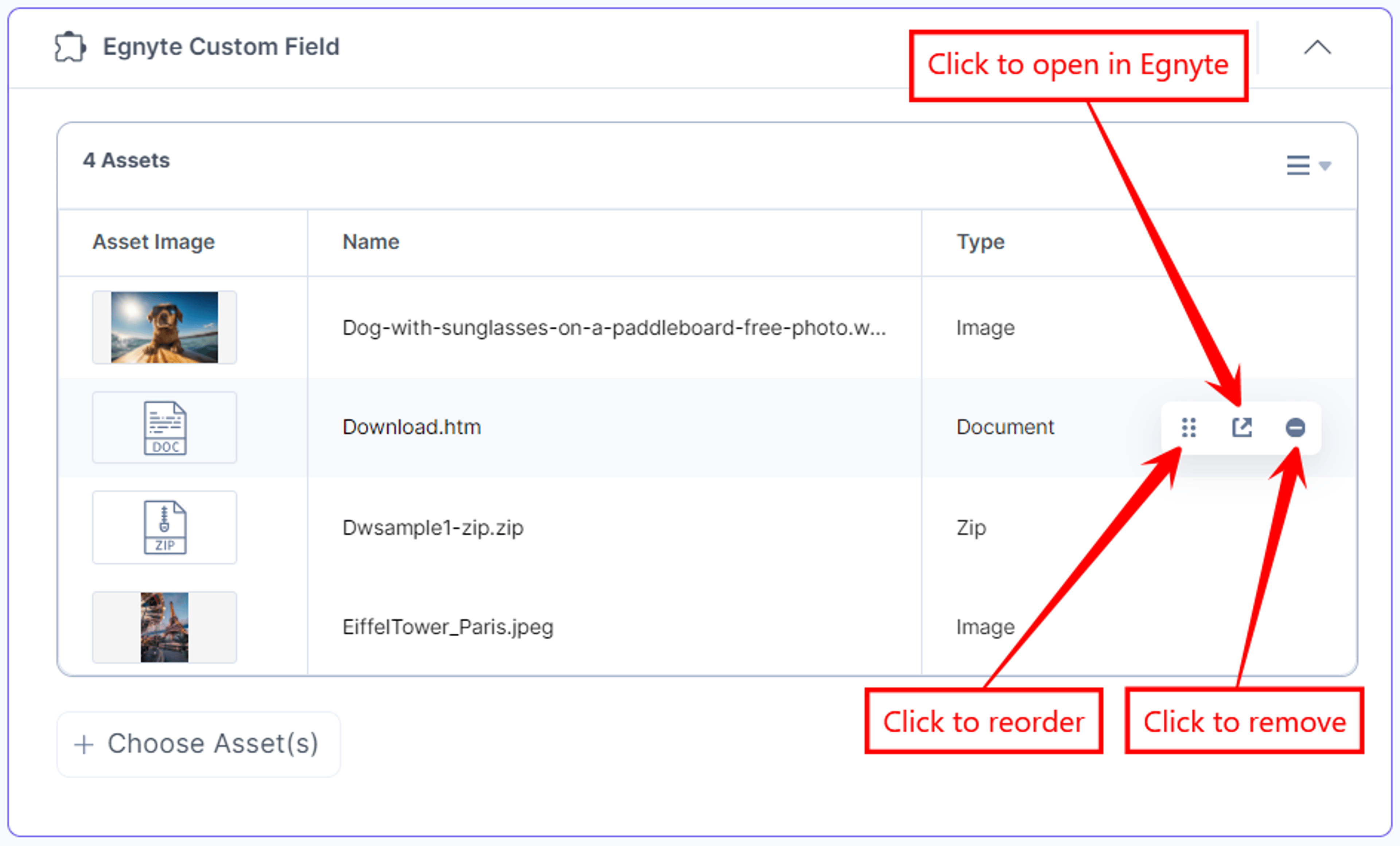 Egnyte-Custom-Field-Assets-View-List-Features