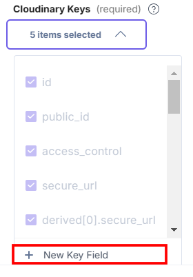 9-Cloudinary-Configuration-Add-New-Key-Field