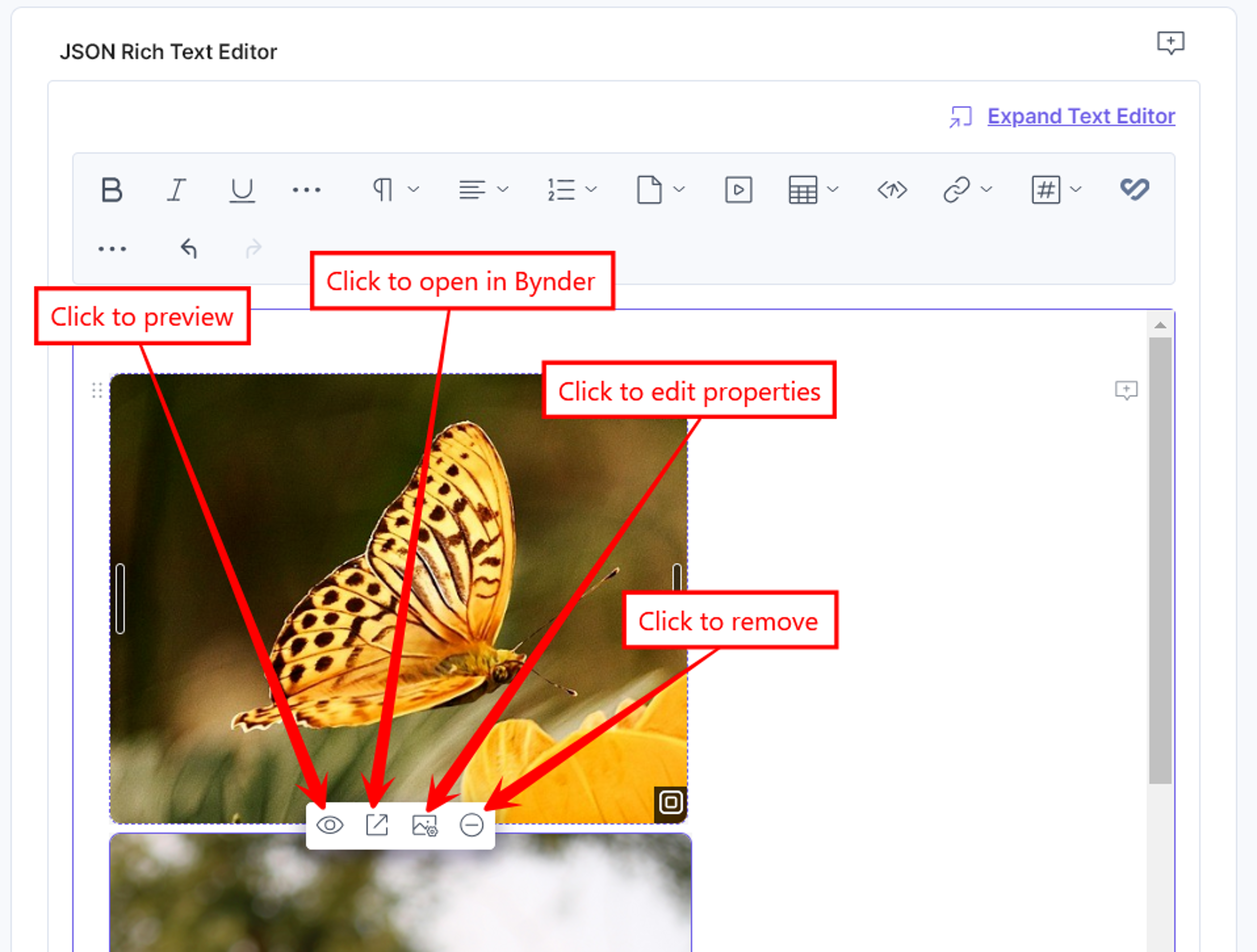 30-Bynder-JSONRTE-Assets-Features
