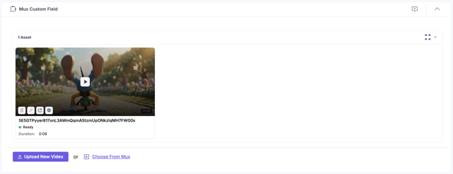 Mux-Custom-Field-Uploaded-Video