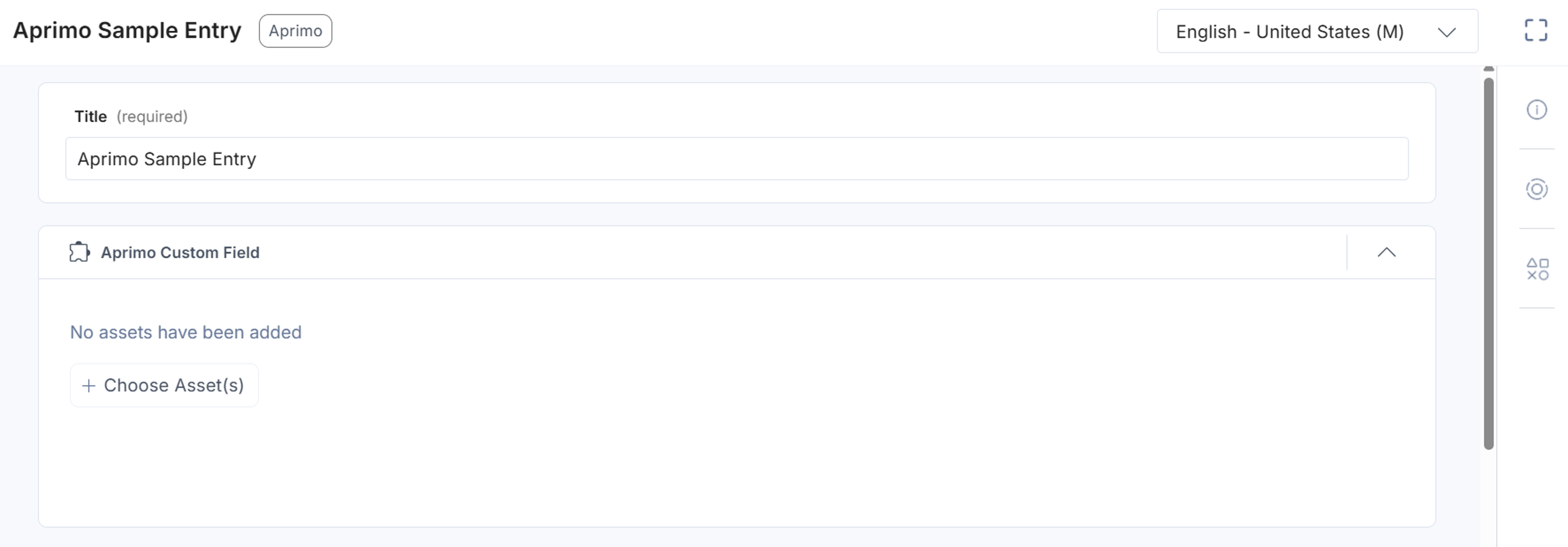 Aprimo-Custom-Field-Sample-Entry