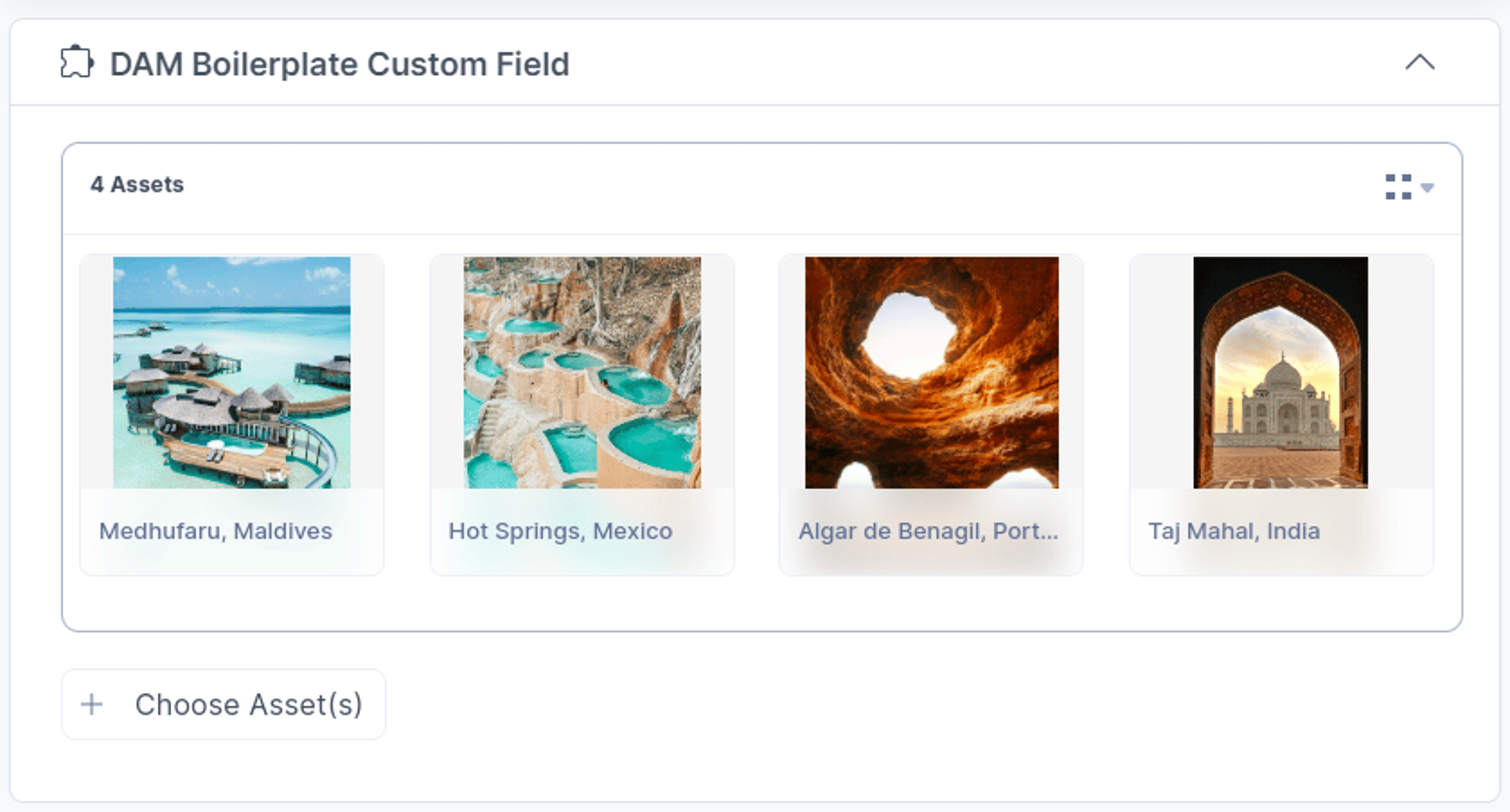 DAM-Biolerplate-Custom-Field-With-Assets