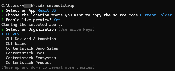 CLI-Bootstrap-SelectOrg.png